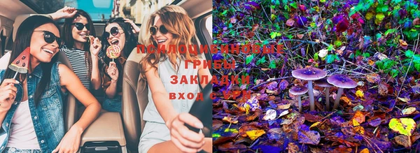 стафф Вязники